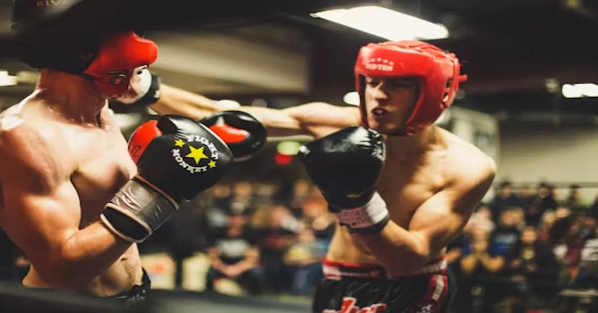 The Punching Path: Exploring Panantakan Through the Lens of Instructional DVDs